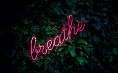 Four Great Exercises for Reconnecting to Your Breath